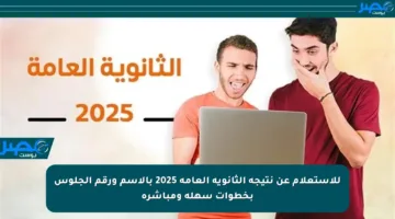 للاستعلام عن نتيجة الثانوية العامة 2025 بالاسم ورقم الجلوس بخطوات سهلة ومباشرة